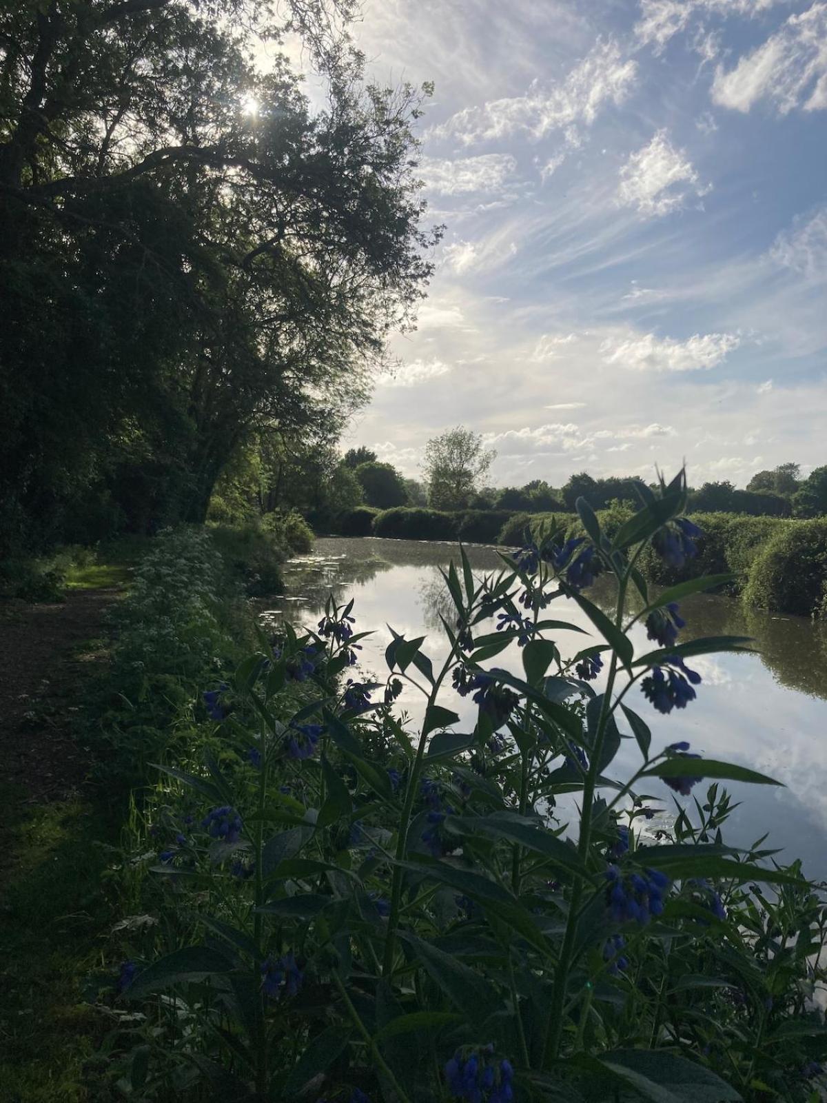 Dutch Cruiser Ship On A Tranquil Secluded River Tonbridge Zewnętrze zdjęcie
