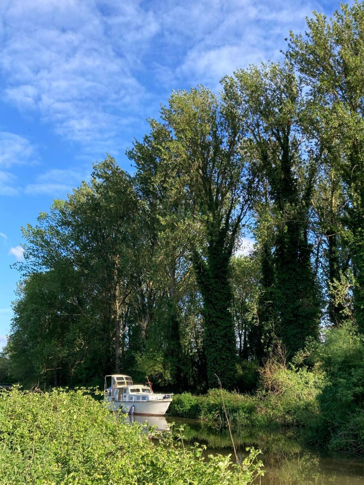 Dutch Cruiser Ship On A Tranquil Secluded River Tonbridge Zewnętrze zdjęcie